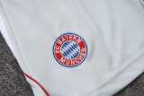 2025/26 Bayern Gray Training Shorts Suit