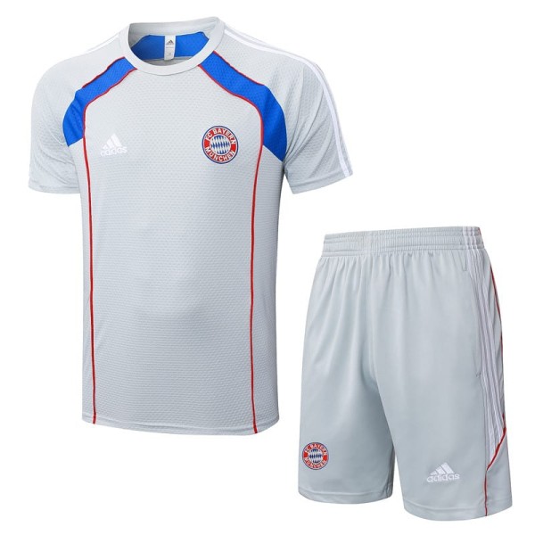 2025/26 Bayern Gray Training Shorts Suit
