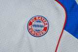 2025/26 Bayern Gray Training Shorts Suit