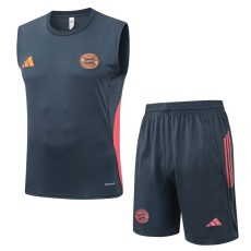 2025/26 Bayern Navy Training Shorts Suit