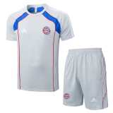 2025/26 Bayern Gray Training Shorts Suit