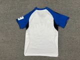 2025/26 Hamburger SV Home Fans Soccer jersey