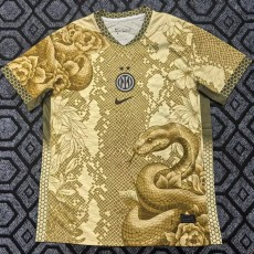2025/26 INT Special Edition Yellow Fans Soccer jersey