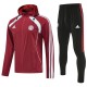 2025/26 Bayern Crimson Tracksuit