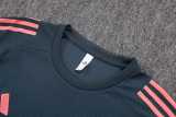 2025/26 Bayern Gray Training Shorts Suit