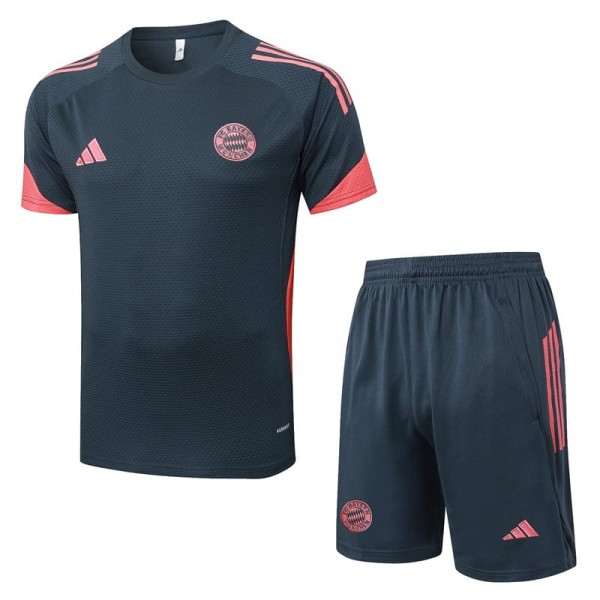 2025/26 Bayern Gray Training Shorts Suit