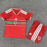 2026 Wales Home Red Fans Kids Soccer jersey
