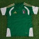 2026 Italy Green Training Shirts