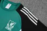 2025/26 LIV Green Training Shorts Suit