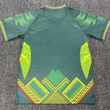 2025 Mali Away Green Fans Soccer jersey