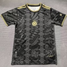 2025 Argentina Black Training Shirts