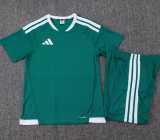 2025/26 Green Player Training Shorts Suit