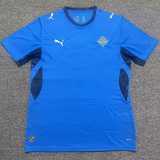 2026 Iceland Home Blue Fans Soccer jersey