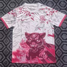 2025 Brazil Pink Training Shirts