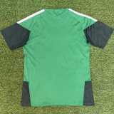 2026 Algeria Green Training Shirts