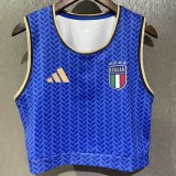 2026 Italy Blue Training Shirts