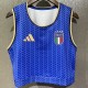 2026 Italy Blue Training Shirts