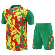 2025 Senegal Green Training Shorts Suit