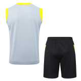 2025/26 Dortmund Gray Training Shorts Suit