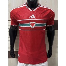 [PLAYER] 2026 Wales Home Red Player Soccer jersey