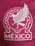 [PLAYER] 2026 Mexico GKP Pink Player Soccer jersey