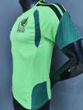 2026 Mexico Light Green Player Training Shirts