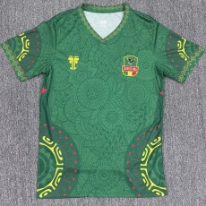 2025 Mali Special Edition Green Fans Soccer jersey