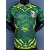 [PLAYER] 2026 Mali Away Green Player Soccer jersey