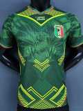 [PLAYER] 2026 Mali Away Green Player Soccer jersey