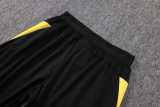 2025/26 Dortmund Gray Half Pull Tracksuit