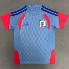 2026 Japan Gray Training Shirts