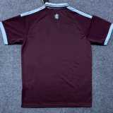 2025/26 Aston Villa Special Edition Fans Soccer jersey