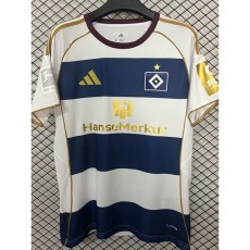 2025/26 Hamburger SV Special Edition Fans Soccer jersey