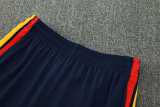 2026 Spain Lake blue Half Pull Tracksuit