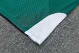 2026 Italy Green Training Shorts Suit