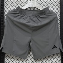 AD Gray Shorts Pants