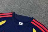 2026 Colombia Royal blue Training Shorts Suit