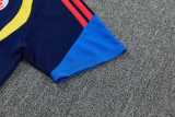 2026 Colombia Royal blue Training Shorts Suit