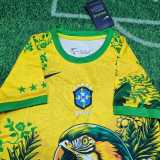 2026 Brazil Special Edition Fans Kids Soccer jersey