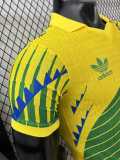 [PLAYER] 2026 Brazil Special Edition Player Soccer jersey