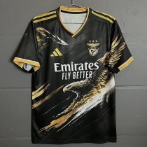 2025/26 Benfica Special Edition Fans Soccer jersey