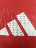 [PLAYER] 2026 Japan GKE Red Player Soccer jersey