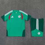 2026 Algeria Green Training Shorts Suit