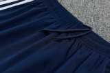 26/27 Bayern Royal blue Tracksuit