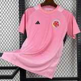 2026 Colombia Goalkeeper Pink Fans Soccer jersey