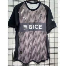 26/27 CD Universidad Catolica Goalkeeper Gray Fans Soccer jersey