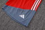 26/27 Internacional Red Training Shorts Suit