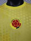 2026 Colombia Yellow Player Training Shirts