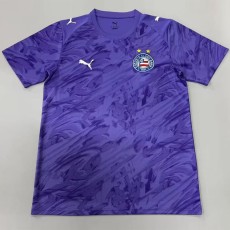 26/27 EC Bahia GKP Purple Fans Soccer jersey