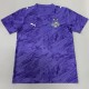 26/27 EC Bahia GKP Purple Fans Soccer jersey